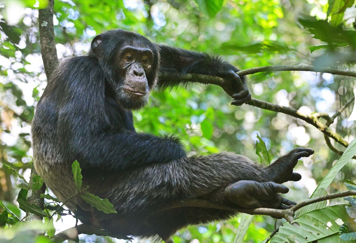 Ihamba Ihamba Adventures | Explore Africa | Eco Friendly Travel